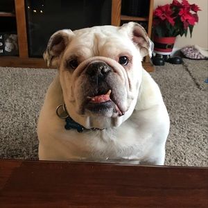 Meet your Posher, Jackie